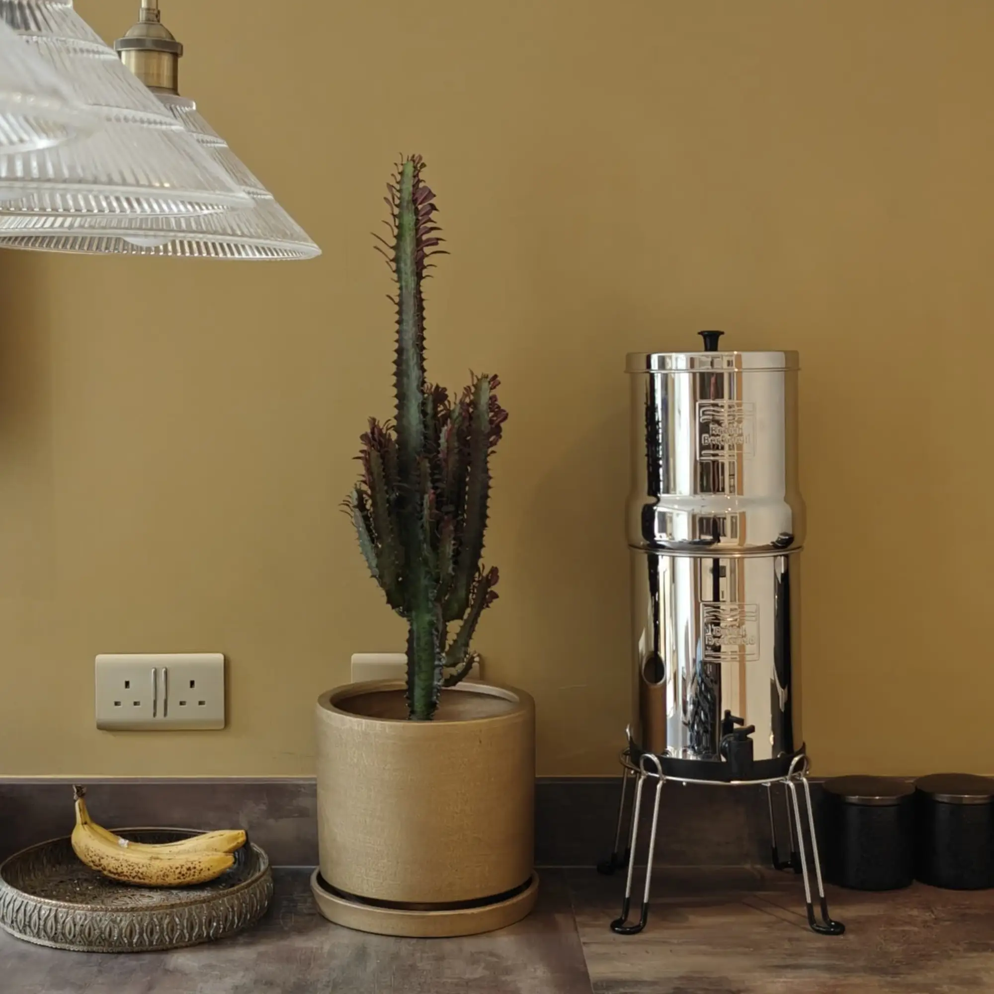 Gravity System, 6L Ultra Sterasyl 4